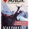 Top 10 👍 MtG Trading Card Game Kaldheim SET Booster Pack [12 Cards] 🤩