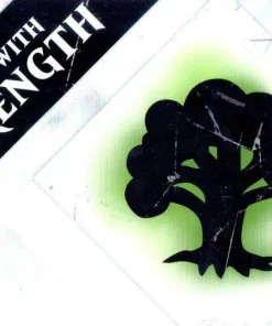 Best reviews of ✔️ MtG Trading Card Game 2015 Core Set Hunt with Strength Pre-Release Kit [Green] 🛒