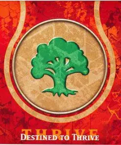 Best reviews of 🔥 MtG Trading Card Game Born of the Gods Destined to Thrive Pre-Release Pack 🎉