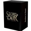 Deals 👍 MtG Restless in Peace Secret Lair Drop Series ✔️